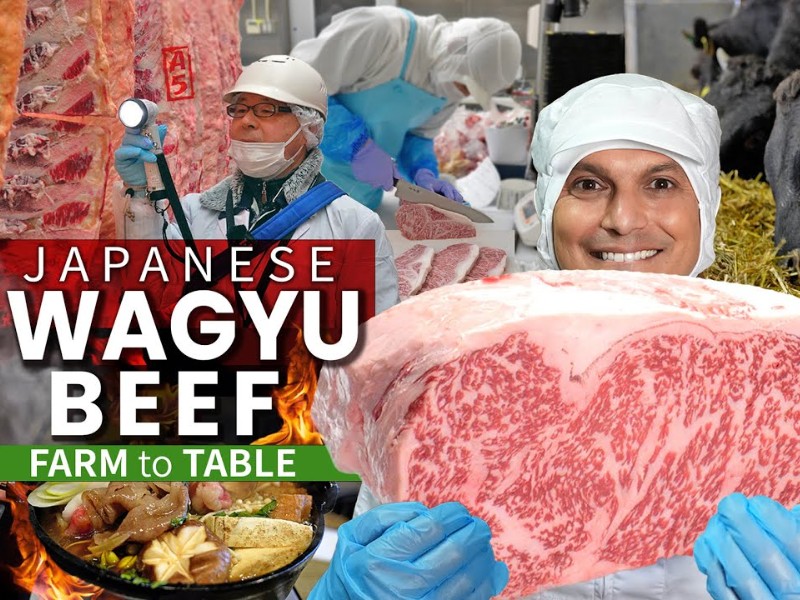 ONLY in JAPAN * John Daub